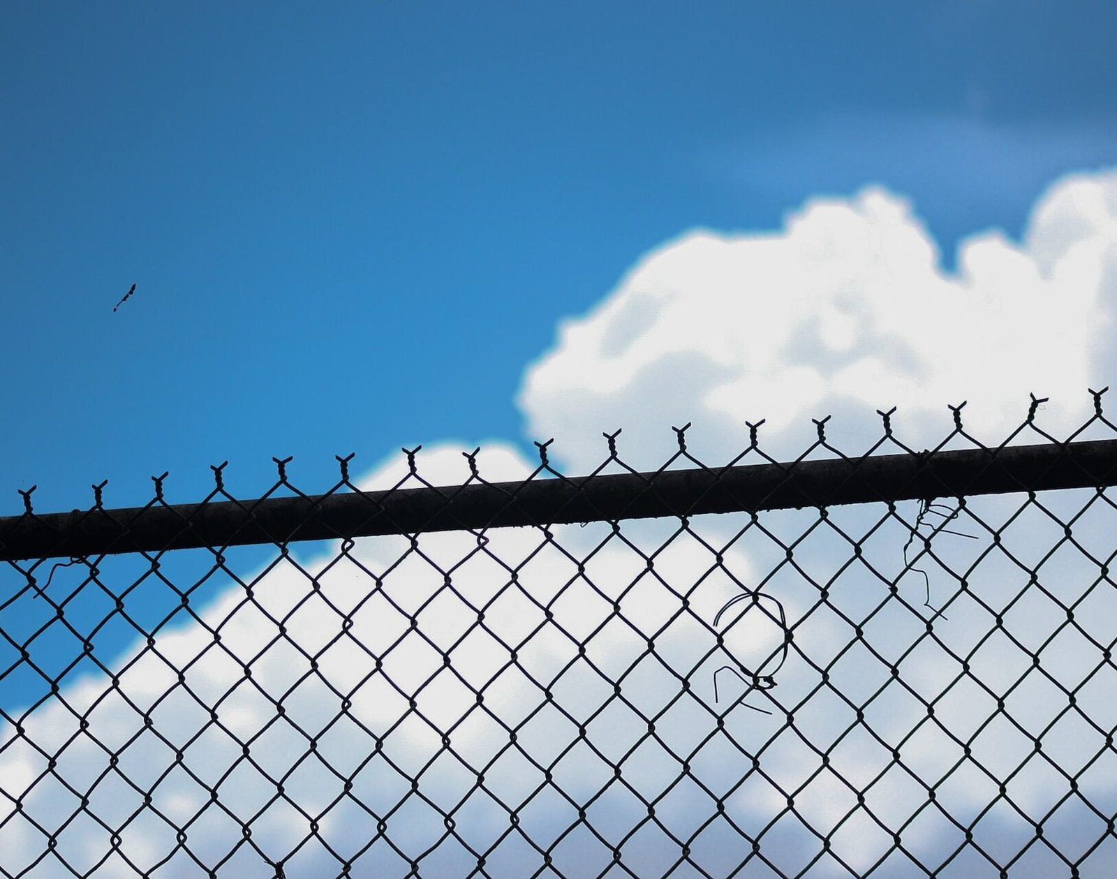 Wire Mesh